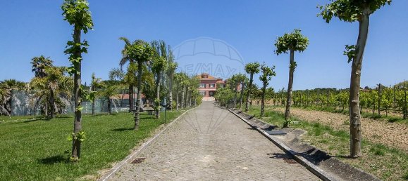 5 bedrooms House in Aveiras de Cima, Portugal No. 21466 49