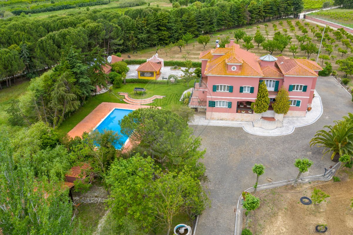 5 bedrooms House in Aveiras de Cima, Portugal No. 21466