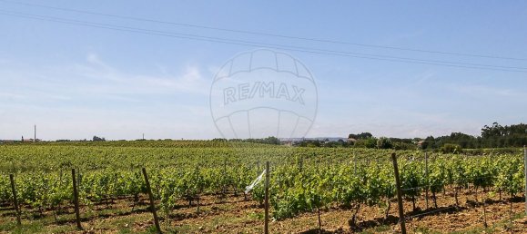 5 bedrooms House in Aveiras de Cima, Portugal No. 21466 40