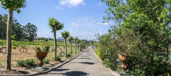 5 bedrooms House in Aveiras de Cima, Portugal No. 21466 41