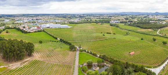 5 bedrooms House in Aveiras de Cima, Portugal No. 21466 48