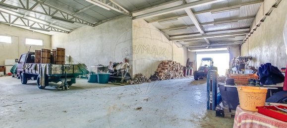 5 bedrooms House in Aveiras de Cima, Portugal No. 21466 37