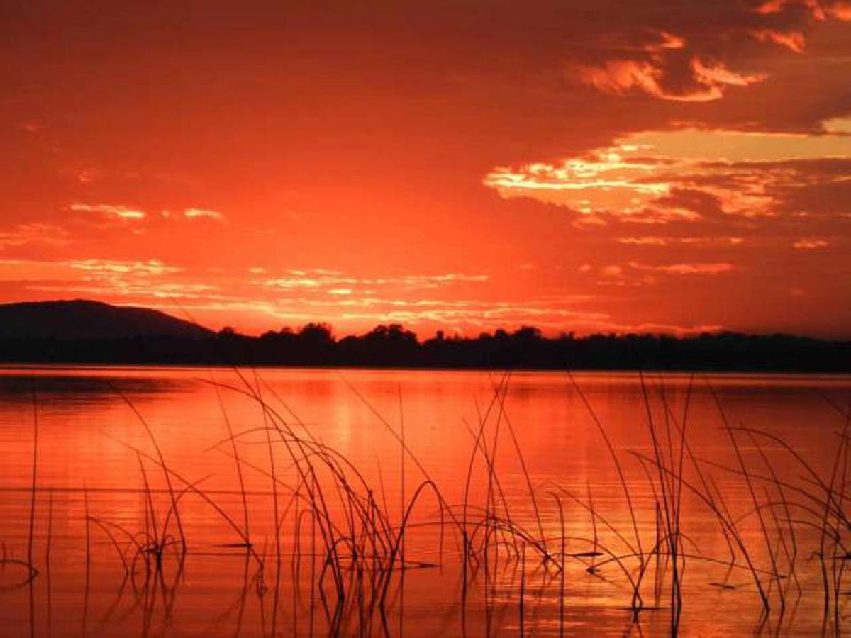  Farm in Maldonado, Uruguay No. 15891