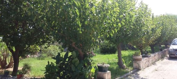 3 bedrooms Commercial property in Zakynthos, Greece No. 522 2