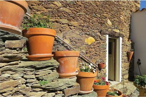 12 bedrooms House in Mirandela, Portugal No. 50002