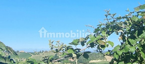 4 bedrooms House in Fontanile, Italy No. 115595 19