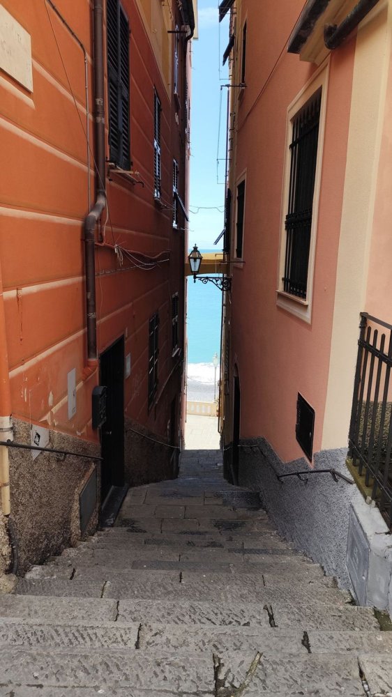 3 rooms Apartment in Camogli, Italy No. 256930