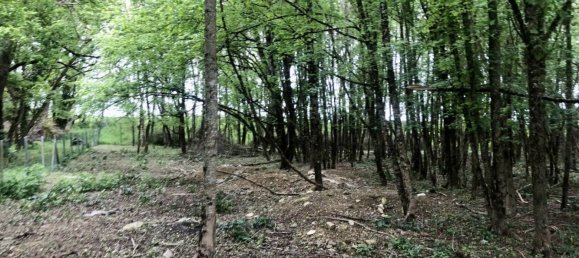 Casa de 8 divisões em Bengy-sur-Craon, France N.º 69411 32