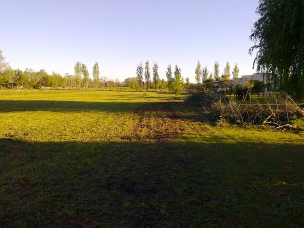 3 bedrooms House in Lobos, Argentina No. 56999