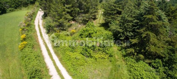 3 Schlafzimmer Haus in Belforte all'Isauro, Italy, Nr. 260240 22