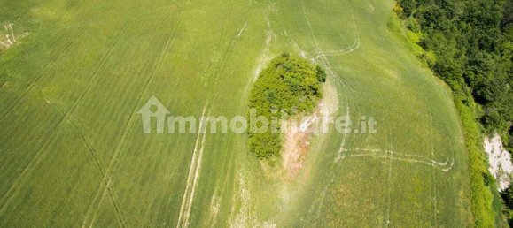 3 Schlafzimmer Haus in Belforte all'Isauro, Italy, Nr. 260240 18