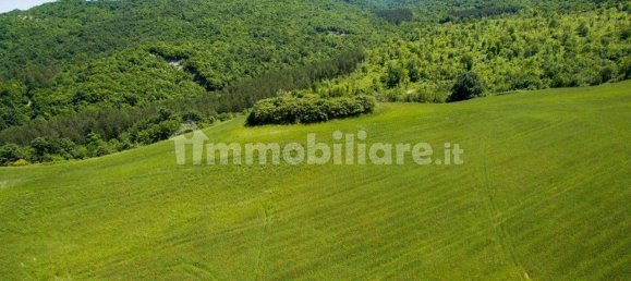 3 Schlafzimmer Haus in Belforte all'Isauro, Italy, Nr. 260240 17