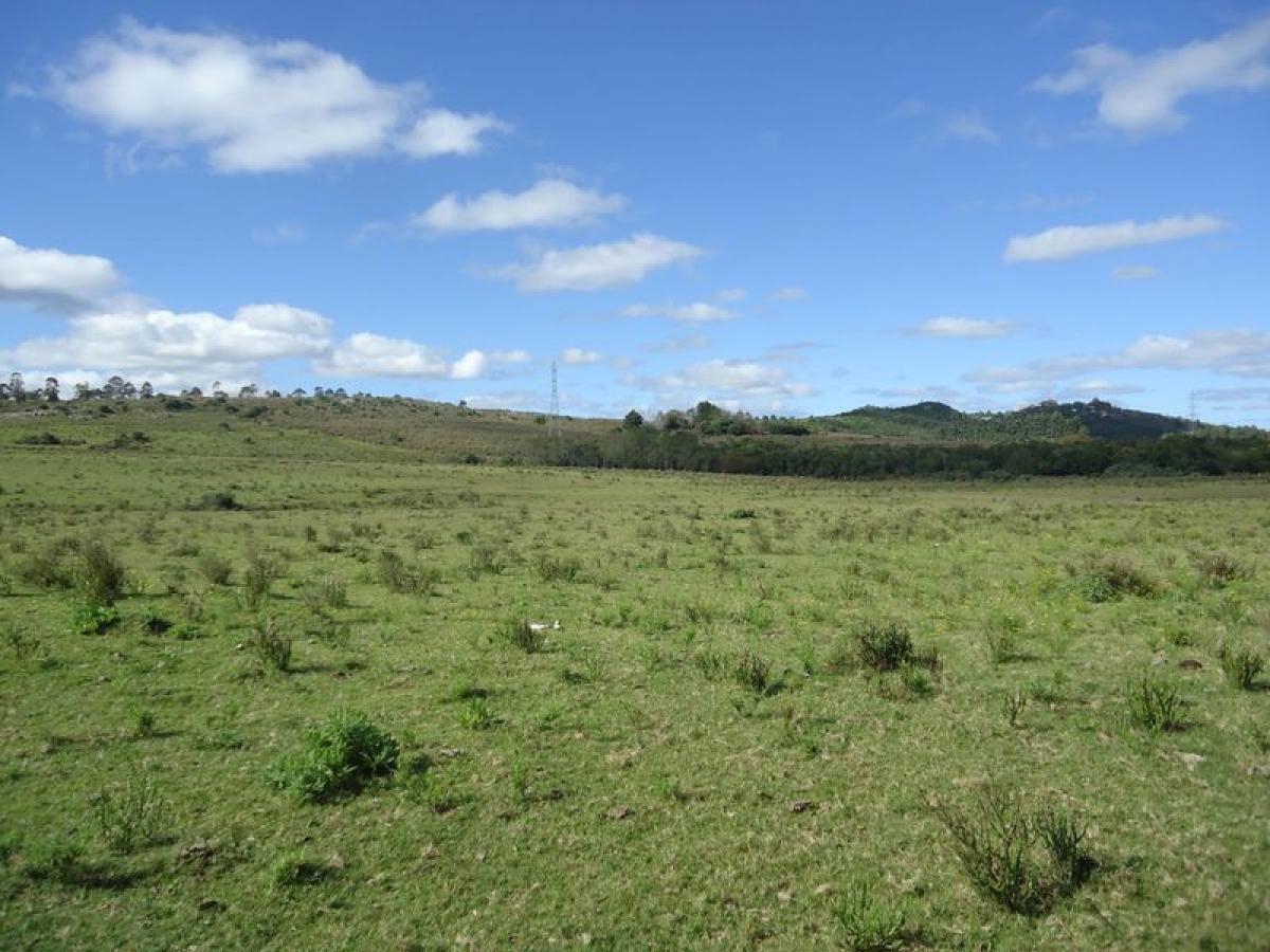 Ferme à Maldonado, Uruguay 19m² No. 14239