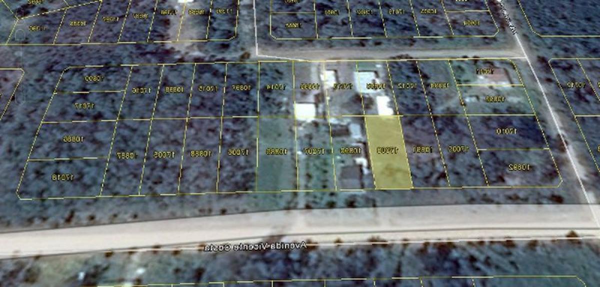  قطعة أرض في Maldonado, Uruguay رقم 15510