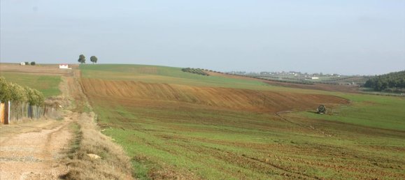 56000m² Hotel in Chalkidiki, Greece No. 8045 4