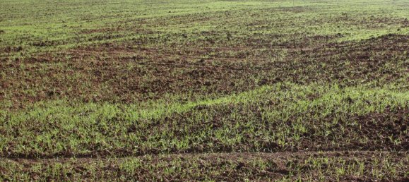 56000m² Hotel in Chalkidiki, Greece No. 8045 2