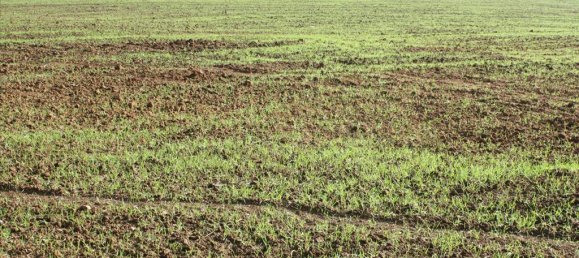 56000m² Hotel in Chalkidiki, Greece No. 8045 3