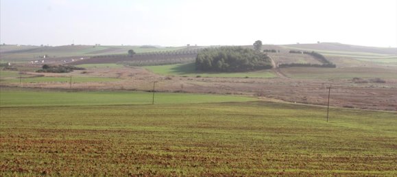 56000m² Hotel in Chalkidiki, Greece No. 8045 6