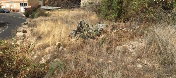 Land in Guimar, Spain No. 157774 6