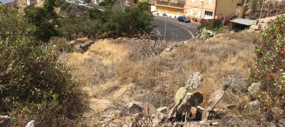 Land in Guimar, Spain No. 157774 7