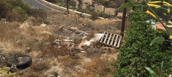 Land in Guimar, Spain No. 157774 2