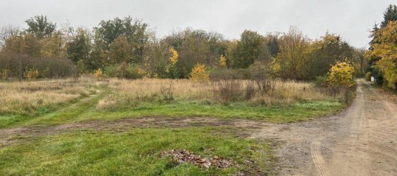 Terreno en Wittenberg, Germany No. 46696 2