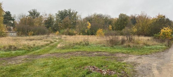 Terreno en Wittenberg, Germany No. 46696 3