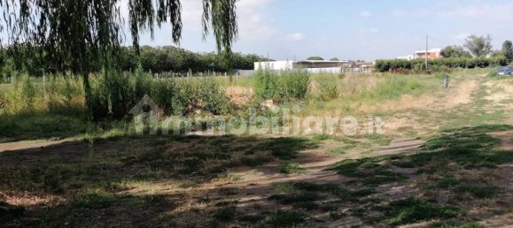 Grundstück in Acerra, Italy 1000m², Nr. 258515 3