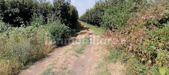 Grundstück in Acerra, Italy 1000m², Nr. 258515 4