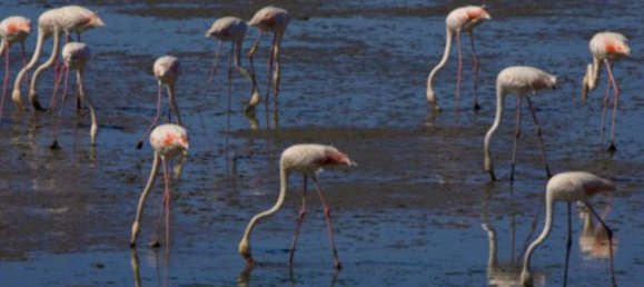 Квартира с 3 спальнями в Сейшал, Португалия № 131491 42