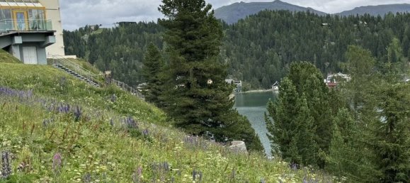 Земельный участок в Райхенау, Австрия № 126689 5