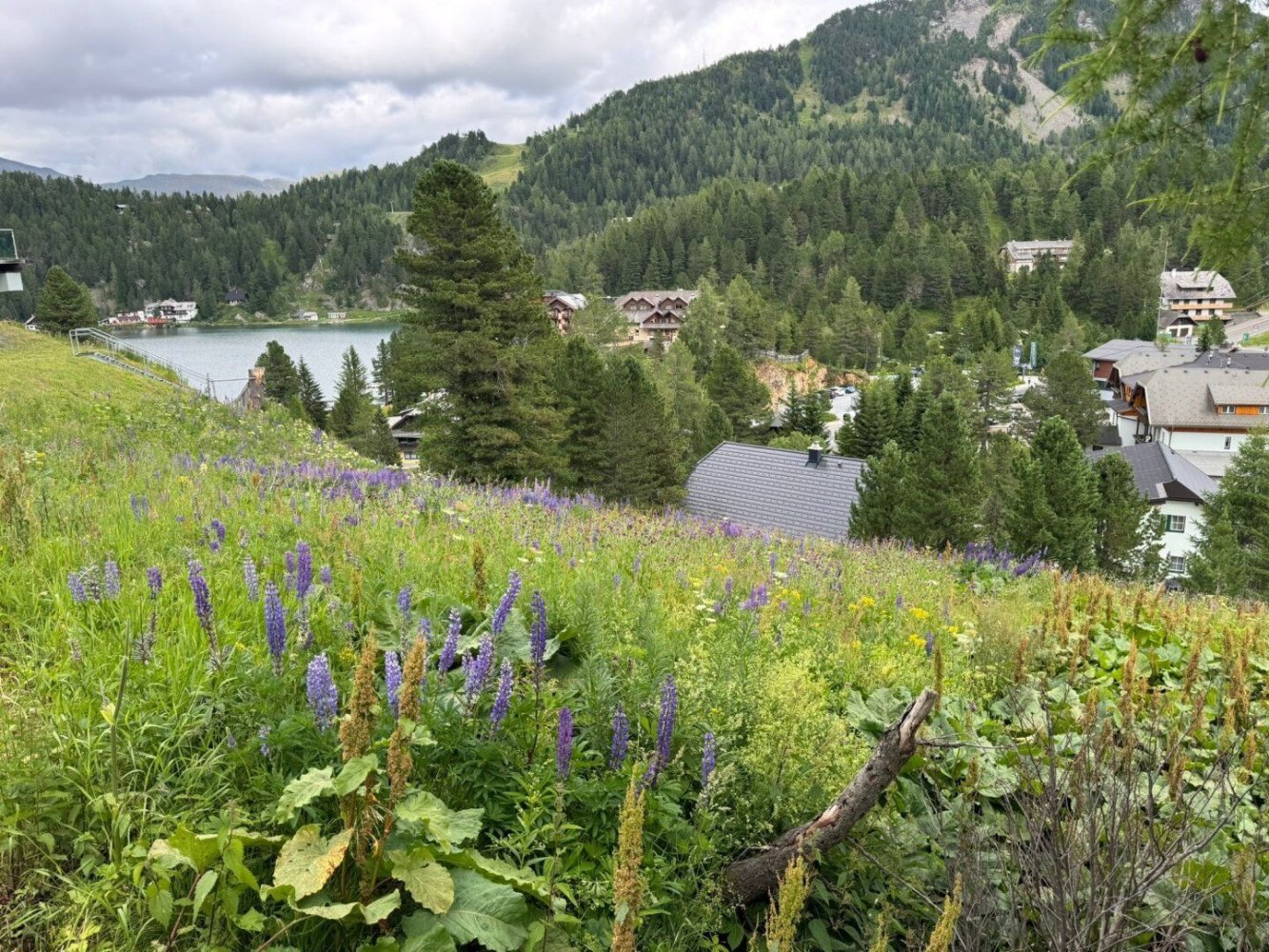 Земельный участок в Райхенау, Австрия № 126689