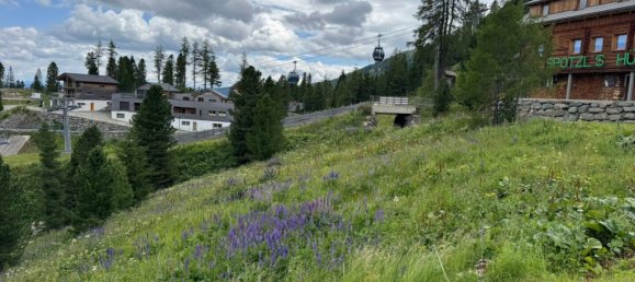 Земельный участок в Райхенау, Австрия № 126689 6