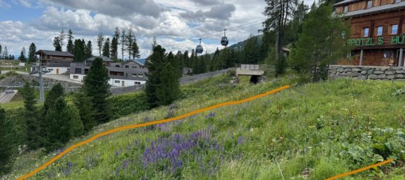 Земельный участок в Райхенау, Австрия № 126689 3