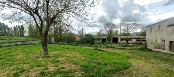 7-Zimmer Haus in Sinalunga, Italy, Nr. 269463 5