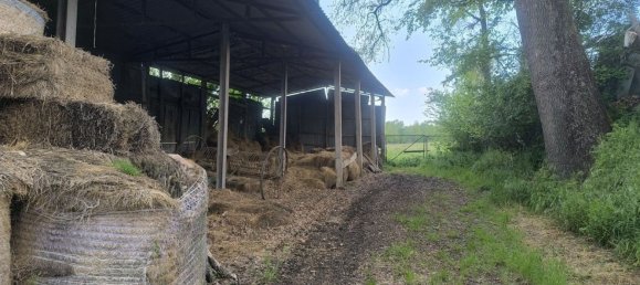 7-Zimmer Haus in Sinalunga, Italy, Nr. 269463 7