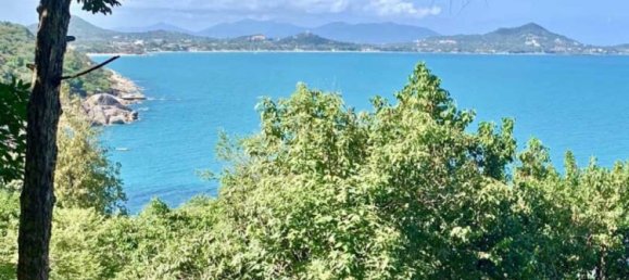 Gewerbliche Immobilie in Ko Samui, Thailand, Nr. 14239 7