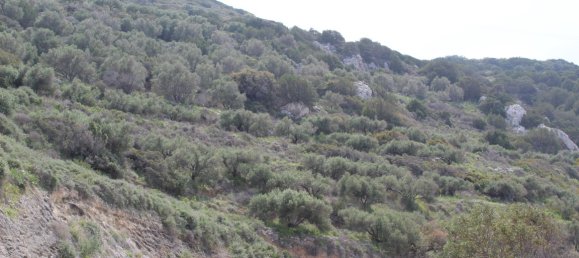  فندق في Lasithi, Greece 12588متر مربع رقم 58670 3