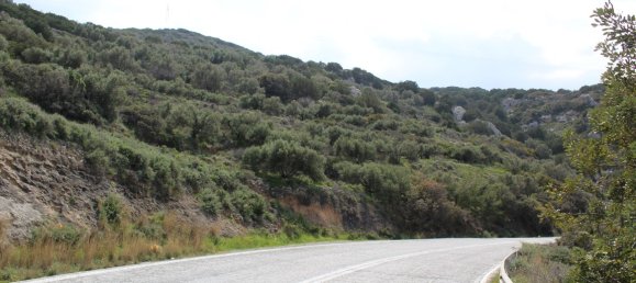  فندق في Lasithi, Greece 12588متر مربع رقم 58670 4
