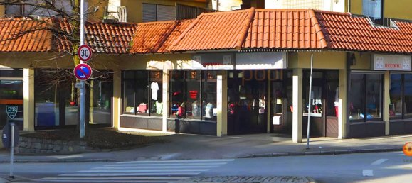 Коммерческая недвижимость 340м² в Эслинген, Германия № 89195 3