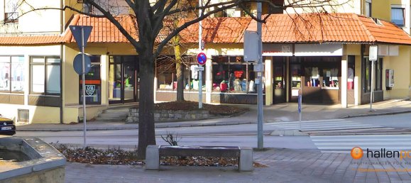 Коммерческая недвижимость 340м² в Эслинген, Германия № 89195 2