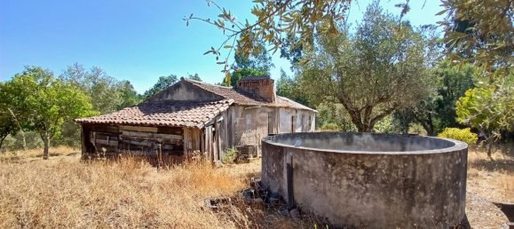 50m² Land in Santa Margarida da Coutada, Portugal No. 289447 7