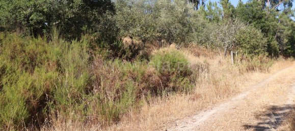 50m² Land in Santa Margarida da Coutada, Portugal No. 289447 9