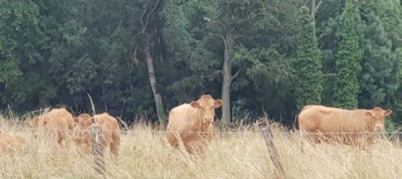 Casa T5 em Knoeringue, France N.º 95311 17