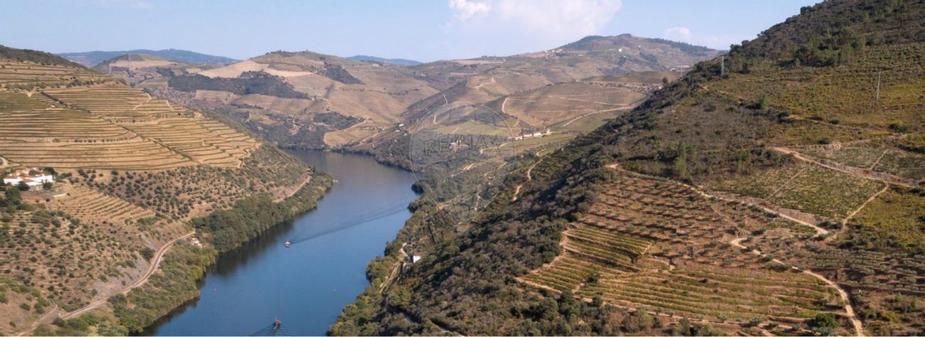 7 bedrooms House in Ervedosa do Douro, Portugal No. 65360