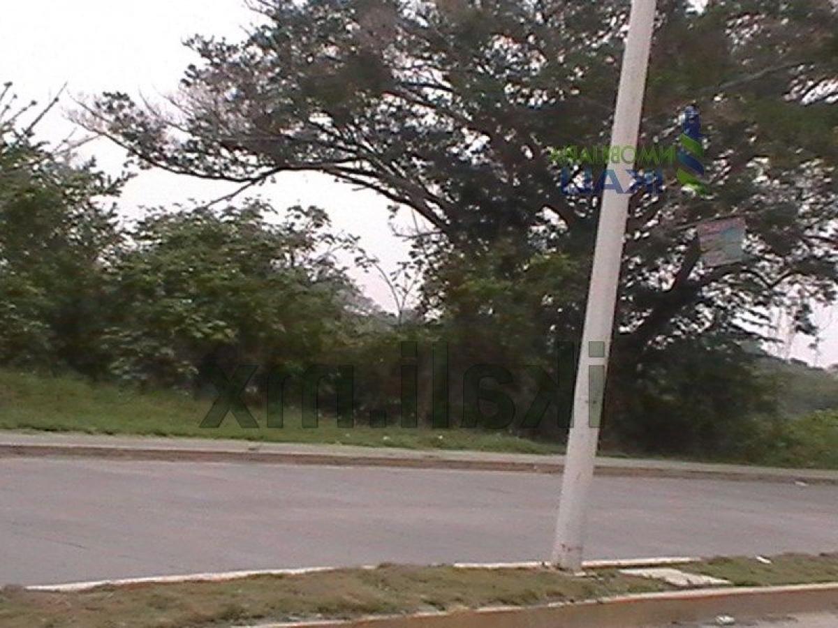 Grundstück in Veracruz, Mexico, Nr. 204685