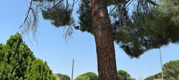 3 غرف نوم منزل في Maello, Spain رقم 188950 2