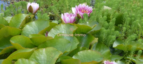 Casa T2 em Warlaing, France N.º 50995 6