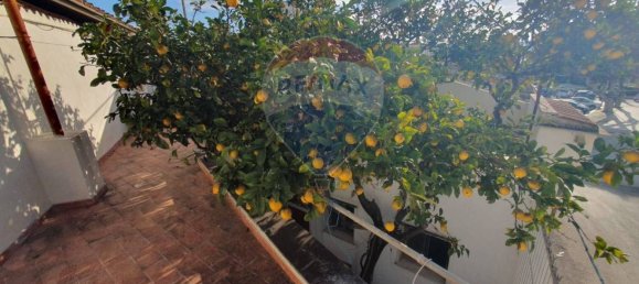 1 Schlafzimmer Haus in Vittoria, Italy, Nr. 281501 13