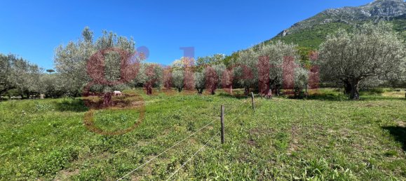 2 bedrooms House in Faicchio, Italy No. 324323 28